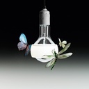 COLGANTE JOHNNY B. GOOD 230v 200cm INGOMAURER