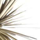 COLGANTE LED 32W SUN - LIGHT OF LOVE  FOSCARINI.