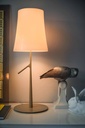 BIRDIE PICCOLA DE MESA GRIS ON/OFF FOSCARINI.